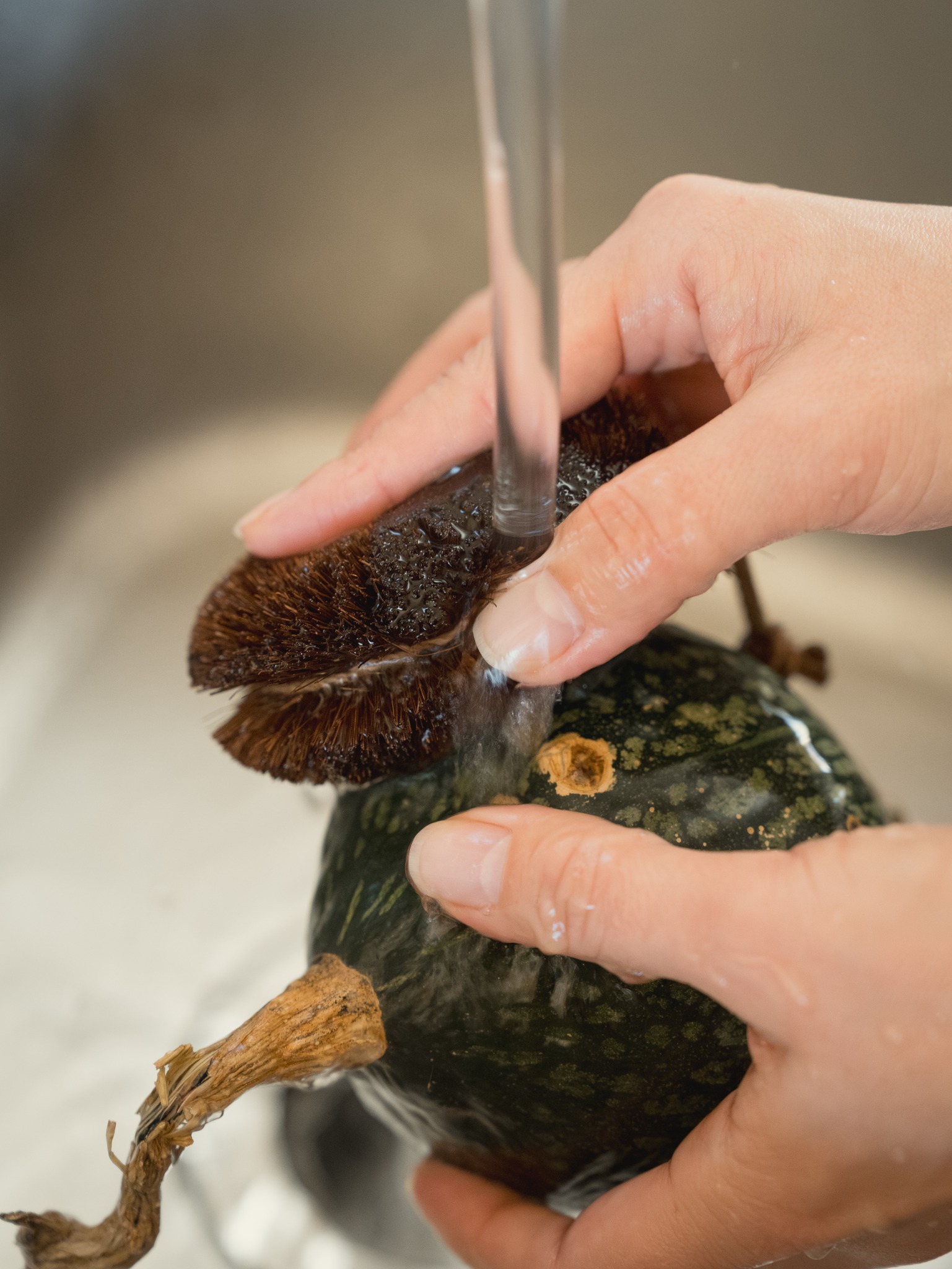 TAKADA TAWASHI handcrafted natural SHURO brushes and brooms